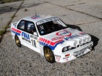 http://nickcampbell.free.fr/miniatures/bmw01.jpg bmw01